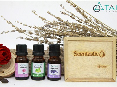 Combo TD02: Bộ 3 chai tinh dầu thiên nhiên 10ml ‪SCENTASTIC (tặng hộp hoặc quà tùy đợt)